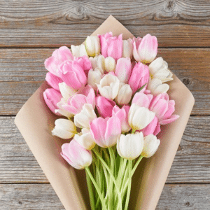 pink and white tulips