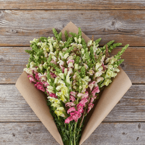 bouqs flowers for mom