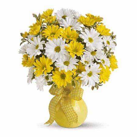 daisies for mothers day