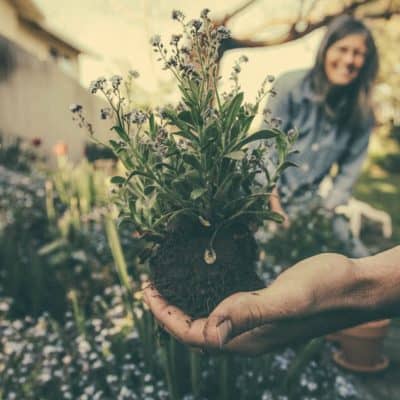 gardening