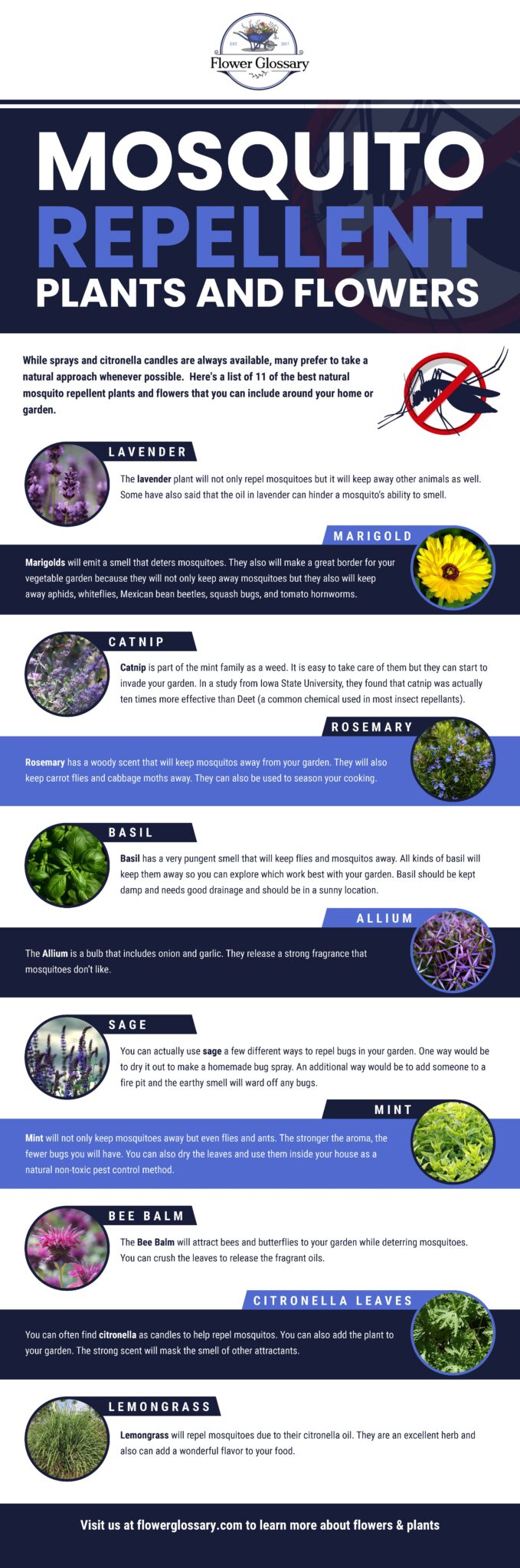 Mosquito Repellent Plants and Flowers | Flower Glossary