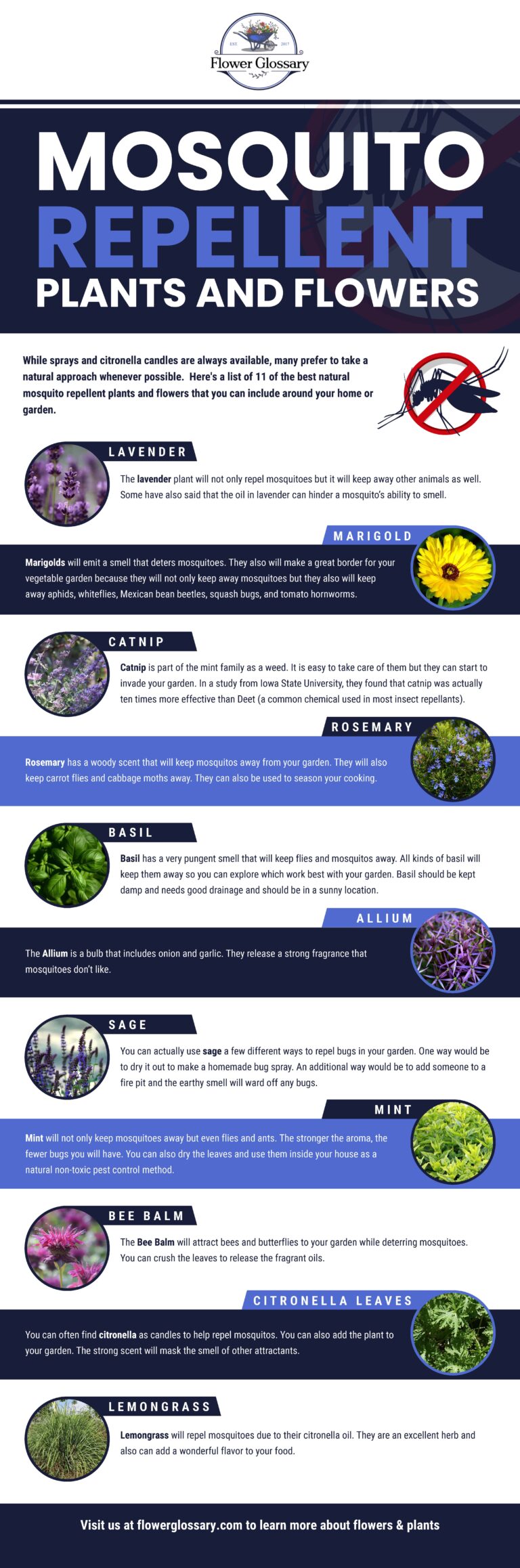 Mosquito Repellent Plants and Flowers | Flower Glossary