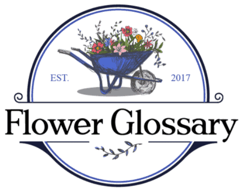 Flower Glossary