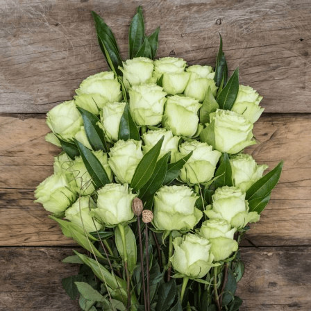 green rose color meaning