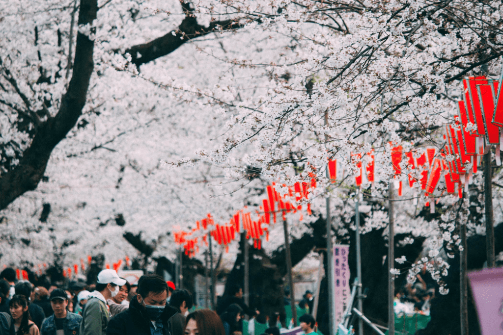 The Meaning Behind The Japanese Cherry Blossom That You Didn t Know the-meaning-behind-the-japanese-cherry-blossom-that-you-didn-t-know
