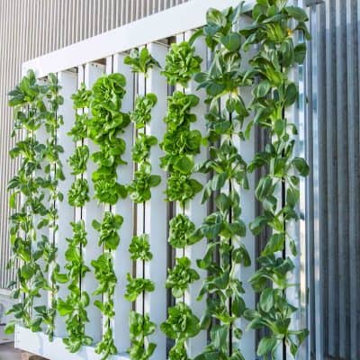 vertical farm