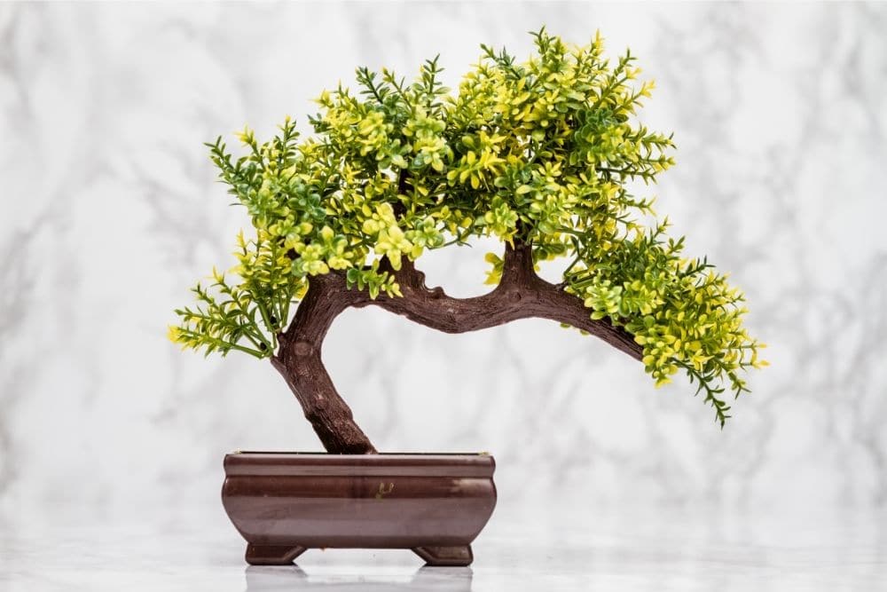 Artificial Bonsai Trees